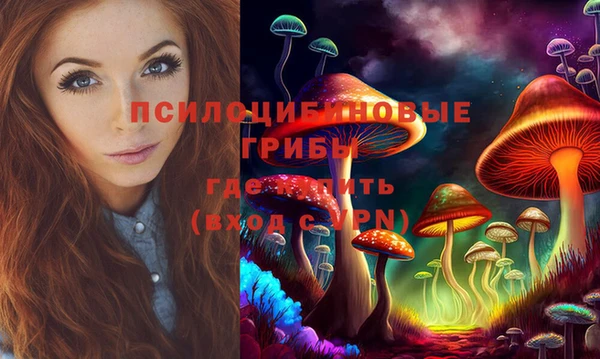 гашик Мегион