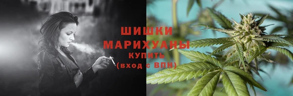 гашик Мегион