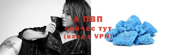 гашик Мегион