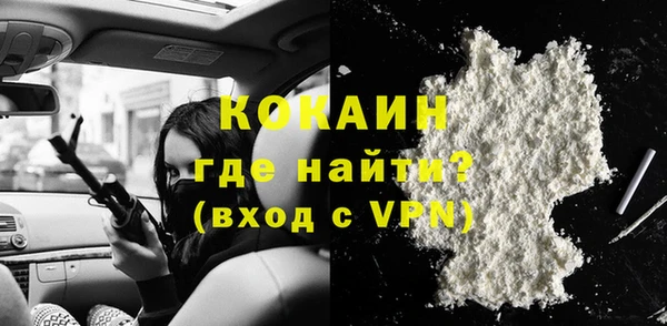 гашик Мегион