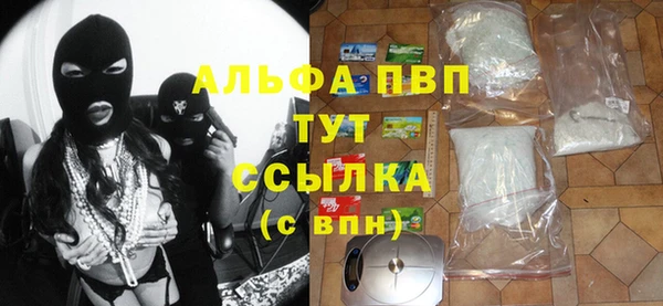 гашик Мегион