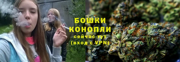 гашик Мегион