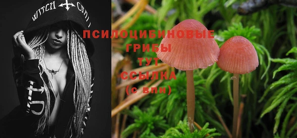 гашик Мегион