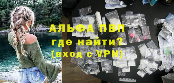гашик Мегион