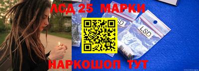 стаф Гай