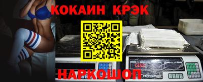 стаф Гай