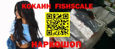 стаф Гай
