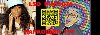 стаф Гай