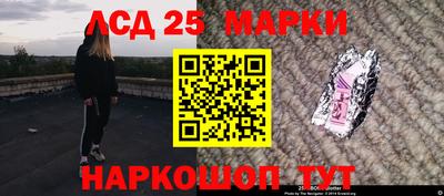 стаф Гай