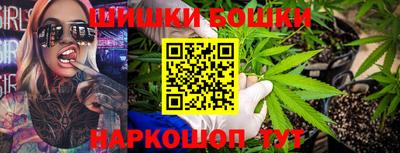 стаф Гай
