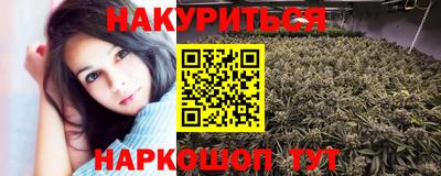 стаф Гай