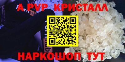 стаф Гай