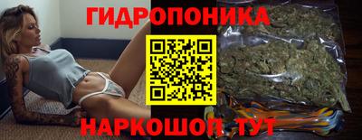 ECSTASY Гатчина