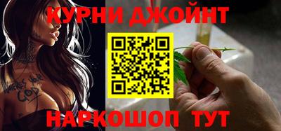 стаф Гай