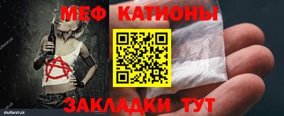 стаф Гай