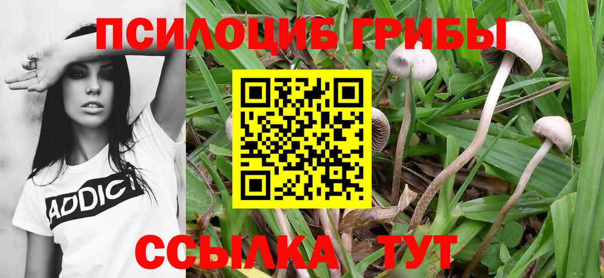 Галлюциногенные грибы GOLDEN TEACHER Кунгур